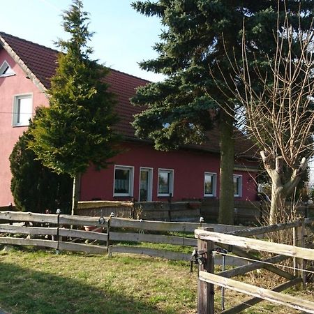 Ferienhaus Rothemuhle Villa Kottmar Dış mekan fotoğraf